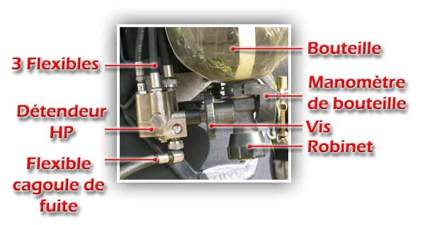 arico.4