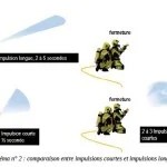 dgscgcgto schema comparaison impulsions 2