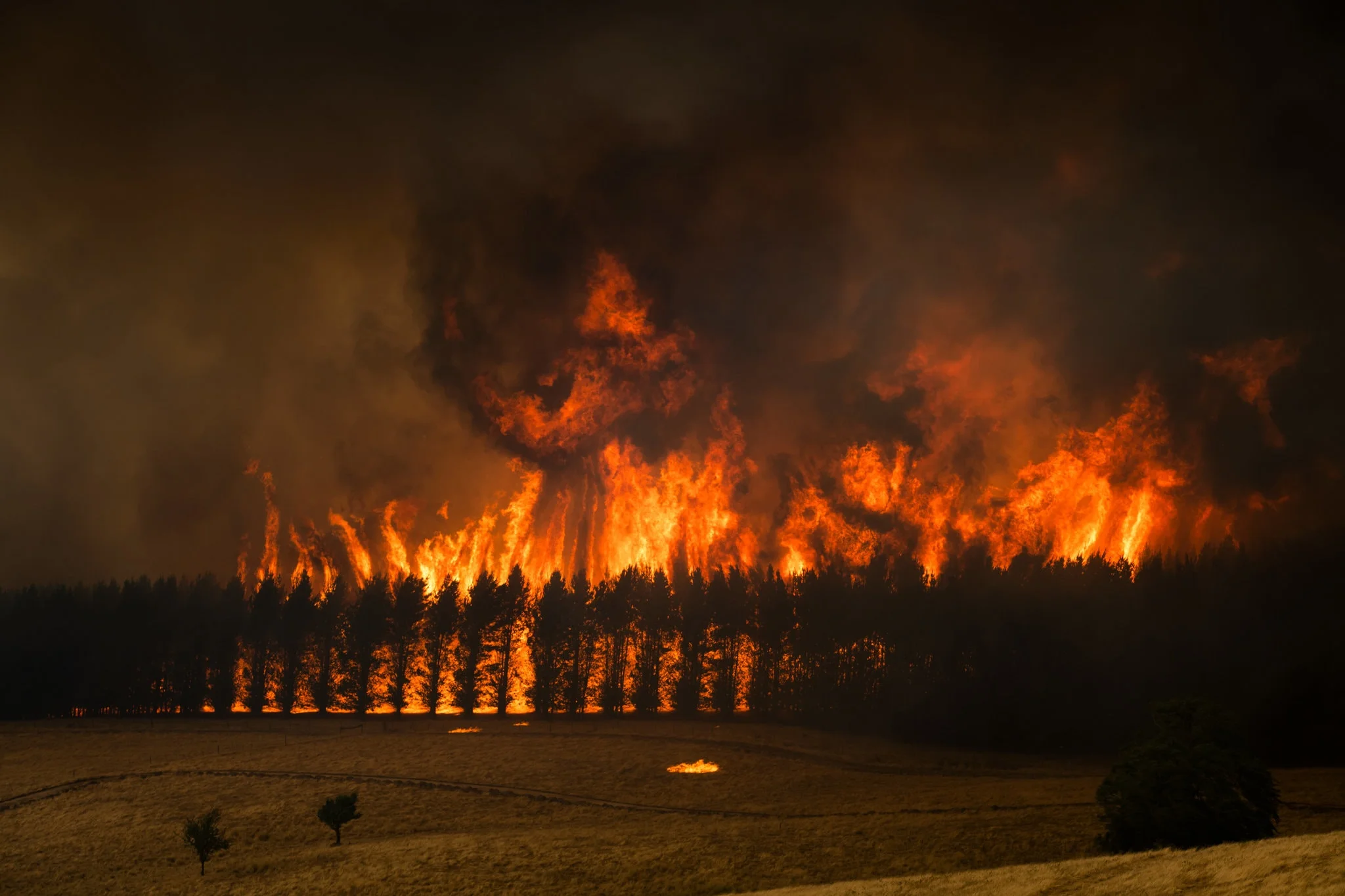 wildfire