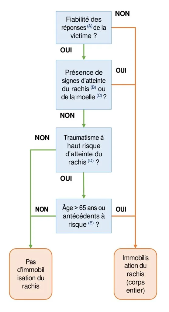 arbre decisionnel immobilisation